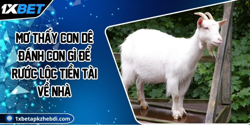 Mơ thấy con dê đánh con gì để rước lộc tiền tài về nhà?